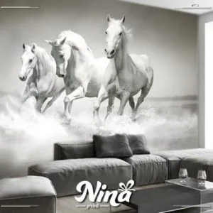 Beli konji, foto tapeta